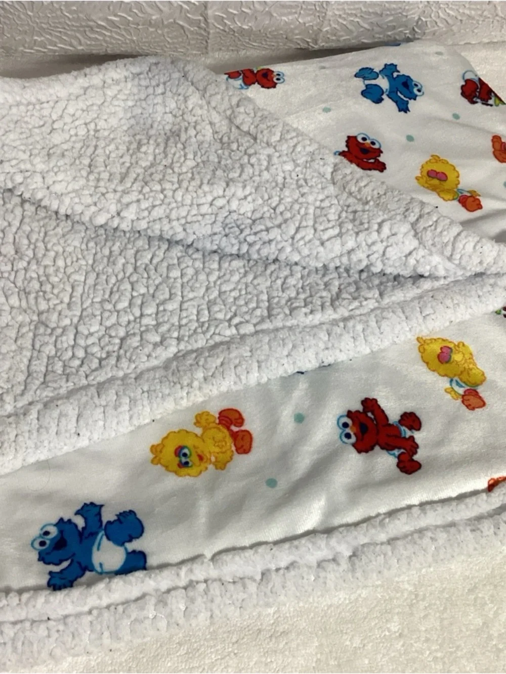 Vintage Sesame Street Babies Graphic Printed Baby Blanket Sherpa Back